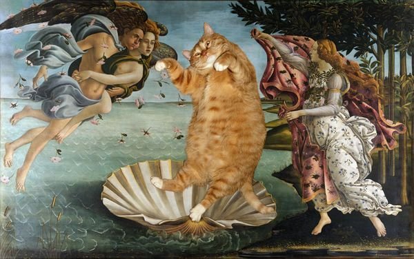 chat Botticelli
